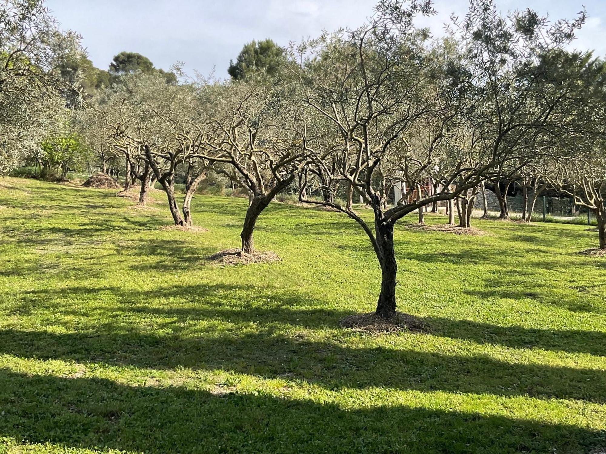 Cheval-Blanc Mas La Floreline מראה חיצוני תמונה